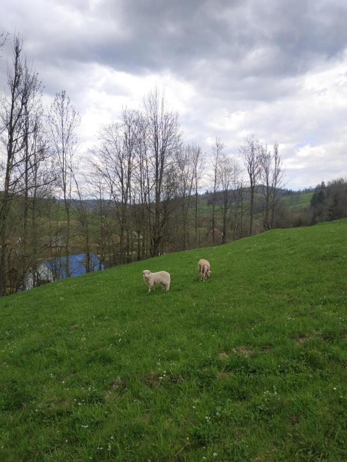 Sadyba Na Luzi Verkhne-Studenyy Exterior foto